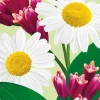Ecodenta Sensitivity Relief Herkkien Hampaiden Fluorihammastahna