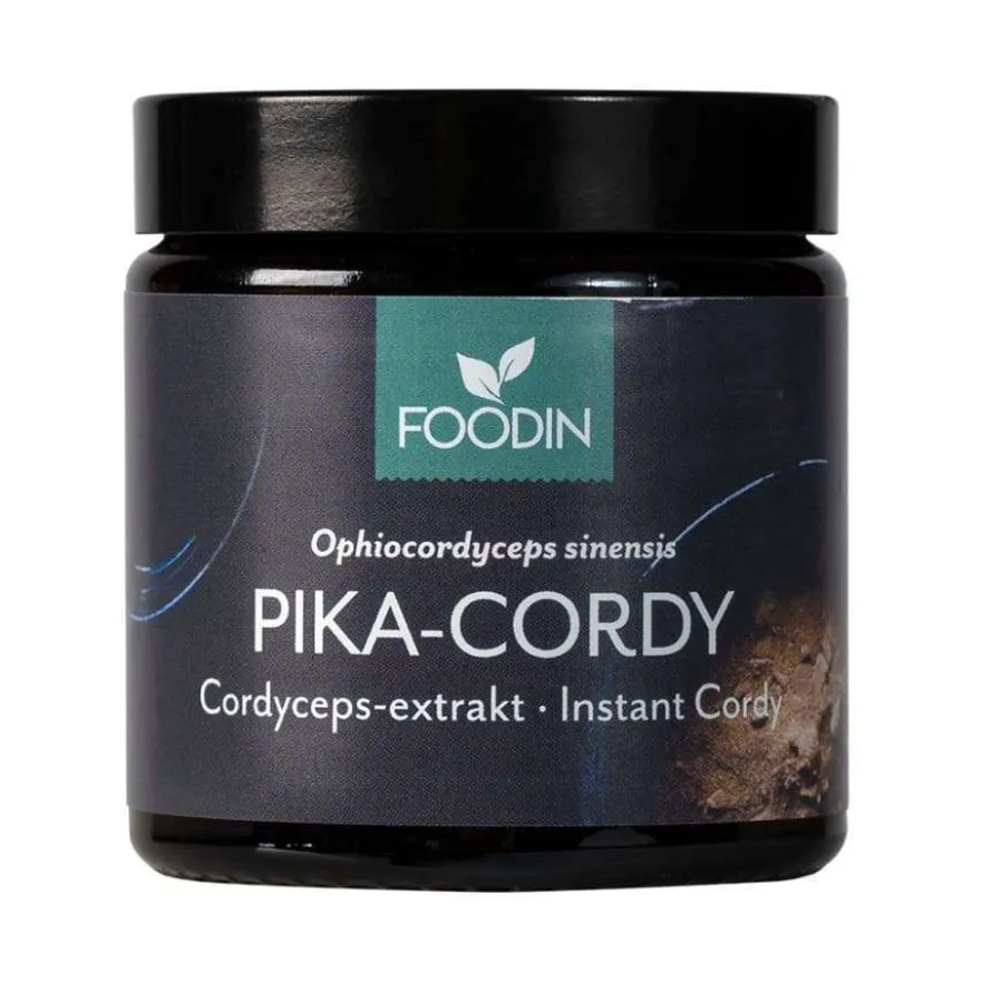 Foodin Pika-Cordy