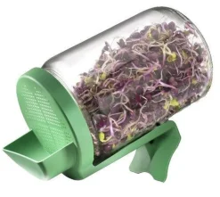 Germline Lasinen Idätysastia