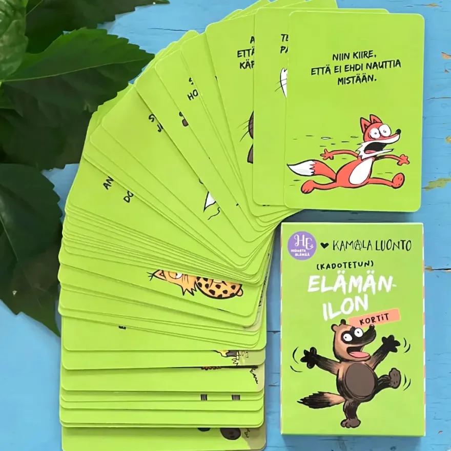Hidasta Elämää Elämänilon kortit