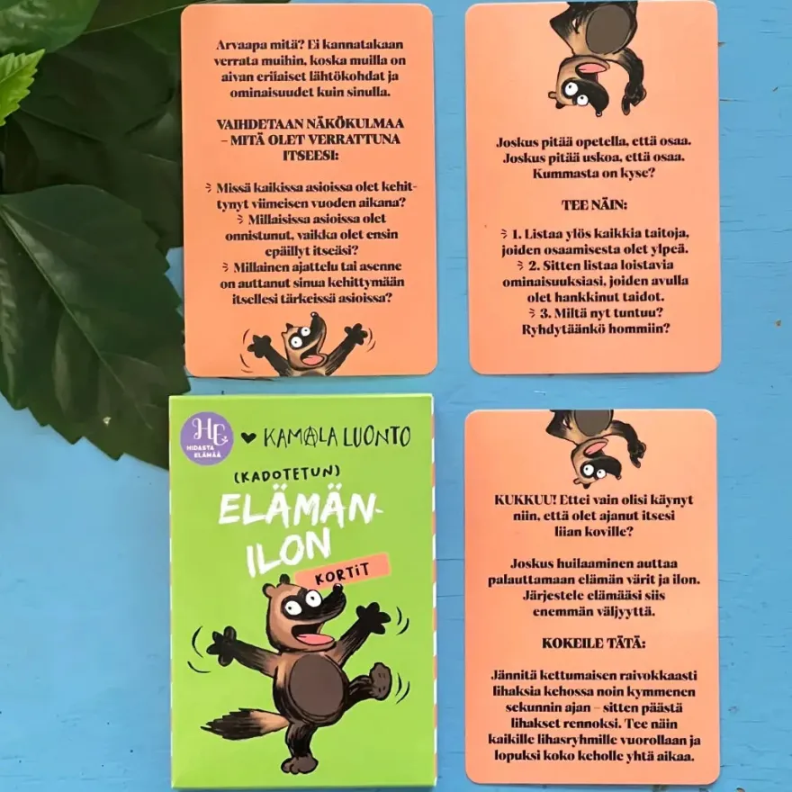 Hidasta Elämää Elämänilon kortit