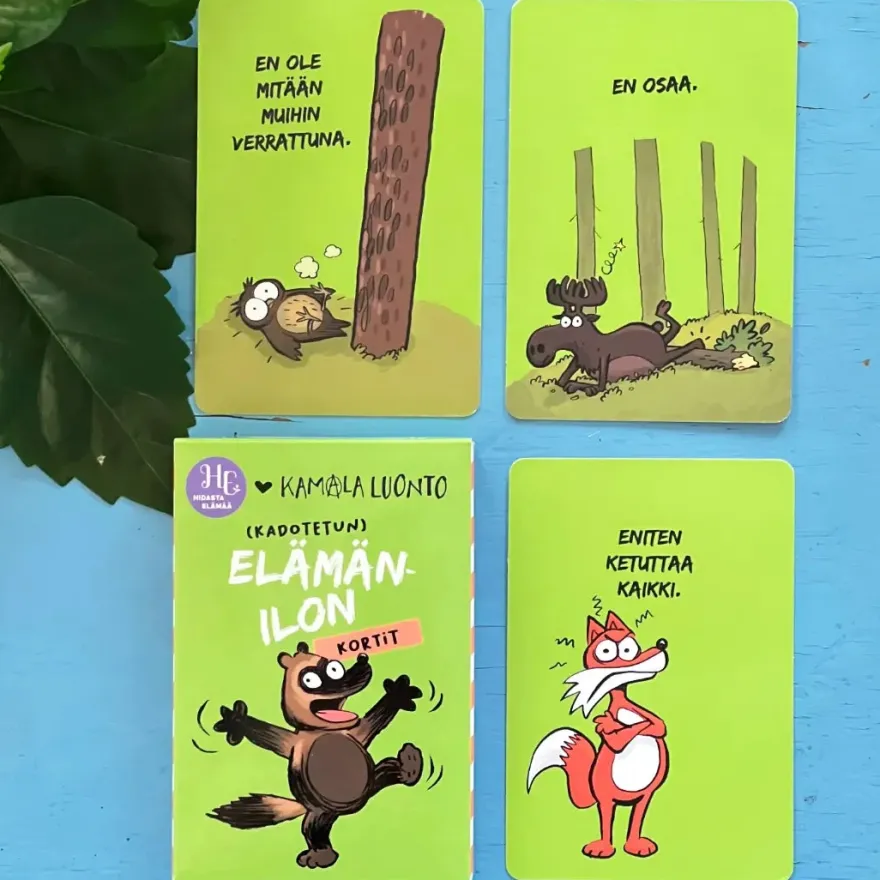 Hidasta Elämää Elämänilon kortit