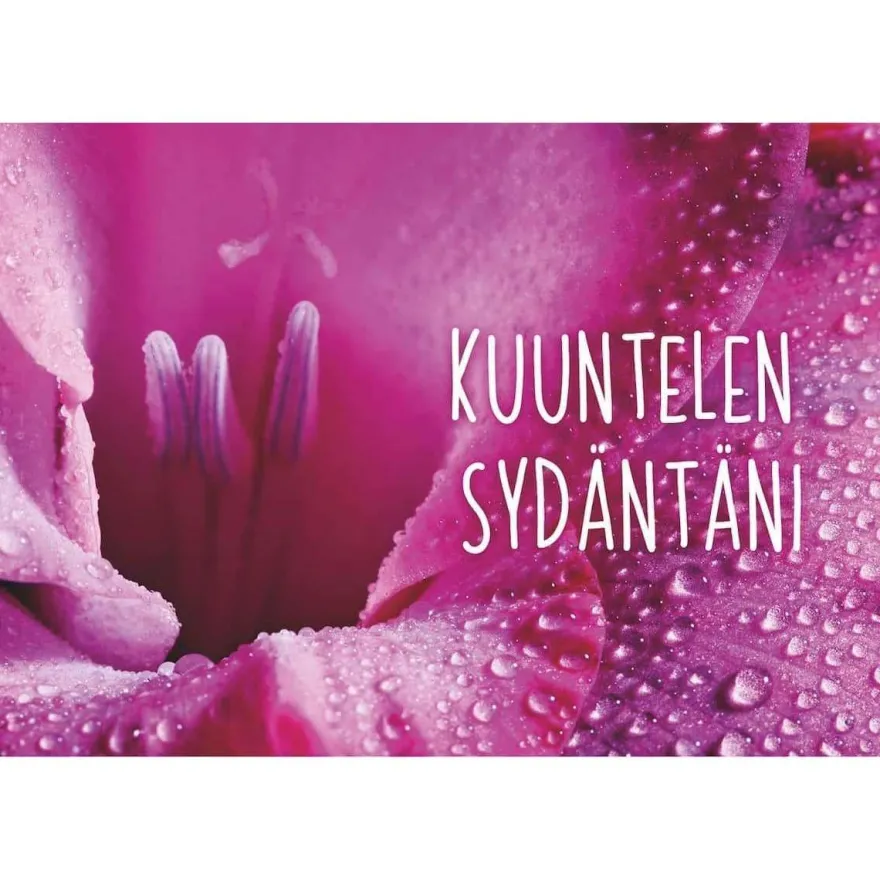 Hidasta Elämää Kuvakortit