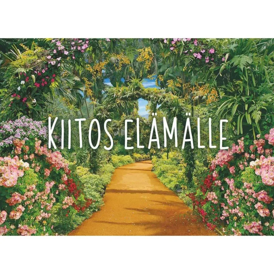 Hidasta Elämää Kuvakortit