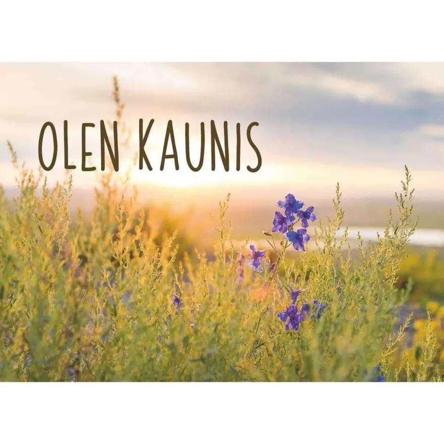 Hidasta Elämää Kuvakortit