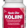 Hyvän Olon Koliini (Parasta ennen 16.10.2026)