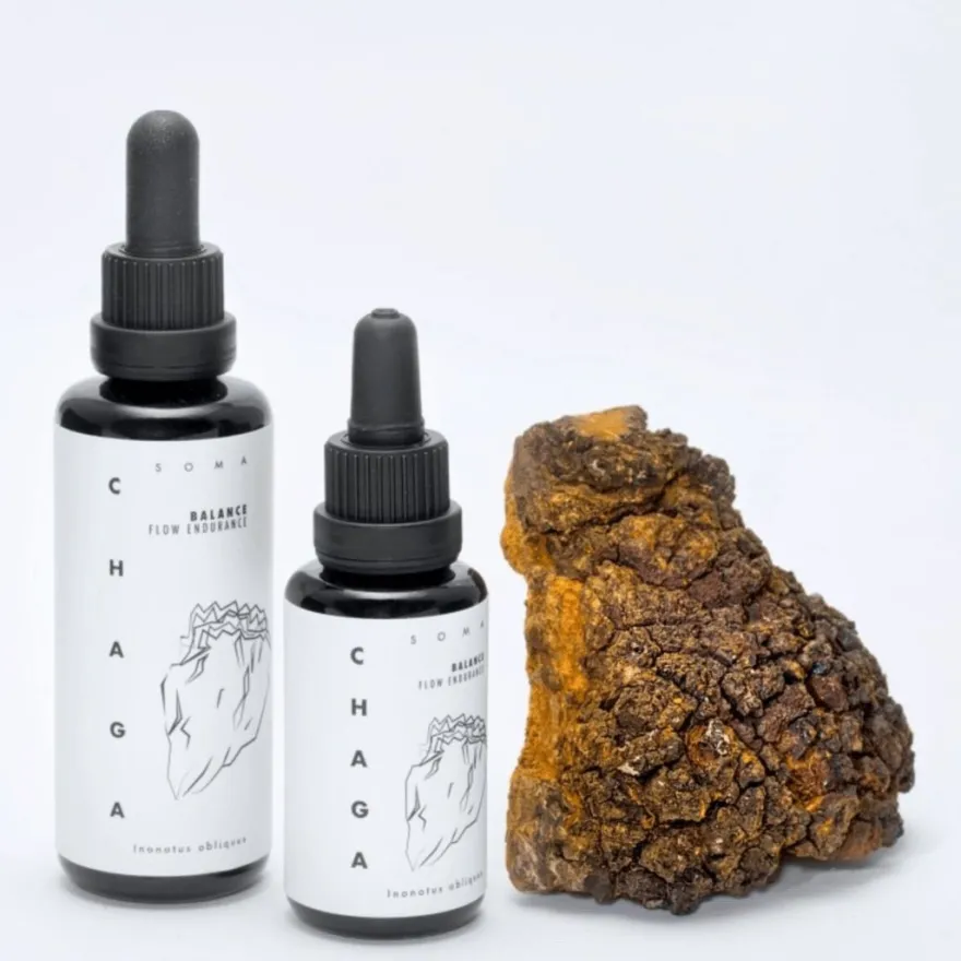 KÄÄPÄ Mushrooms Luomu Pakuri sieniuute