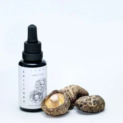 KÄÄPÄ Mushrooms Luomu Shiitake sieniuute