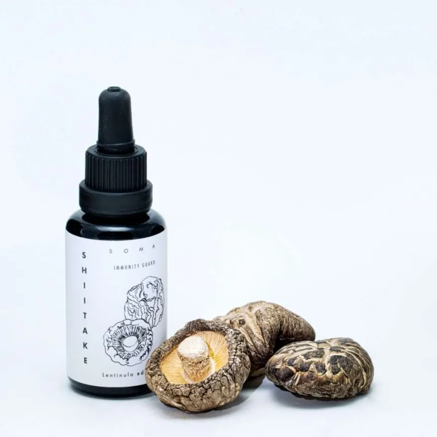KÄÄPÄ Mushrooms Luomu Shiitake sieniuute