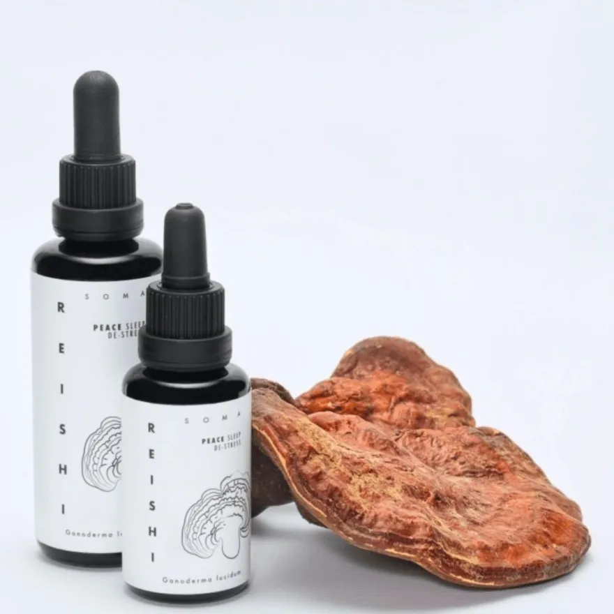 KÄÄPÄ Mushrooms Reishi sieniuute