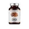 Mushrooms For Life Luomu Chaga (Parasta ennen 19.10.2026)