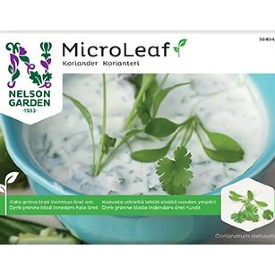Nelson Micro Leaf Korianteri