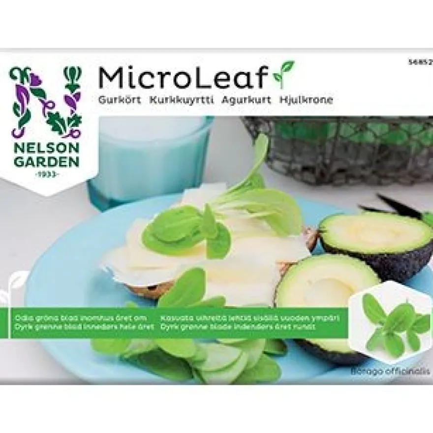 Nelson Micro Leaf Kurkkuyrtti