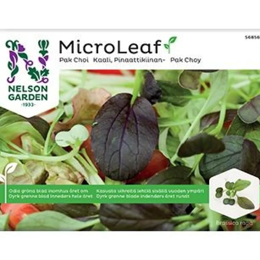 Nelson Micro Leaf Pinaattikiinankaali