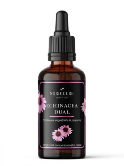 NordiCure Echinacea Dual 1:2