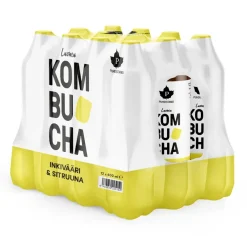 Puhdistamo Luomu Kombucha Inkivääri-Sitruuna, 12-pack
