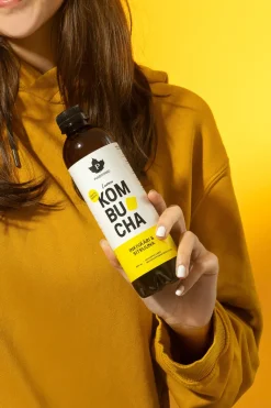 Puhdistamo Luomu Kombucha Inkivääri-Sitruuna, 12-pack