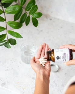 Puhdistamo Vahva Maitohappobakteeri 30 MRD