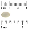 Swanson Garlic Oil Concentrate 500 mg