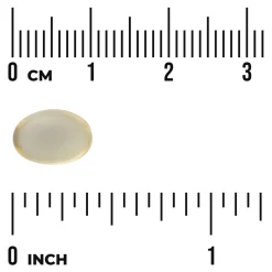 Swanson Garlic Oil Concentrate 500 mg