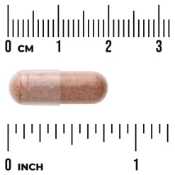 Swanson Pine Bark Extract 50 mg