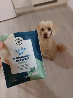 Tassu Foods Maitohappobakteeri + Sinkki