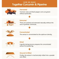 Together Health Curcumin Complex