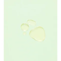 Whamisa Cactus Wrinkle & Brightening Magic Serum