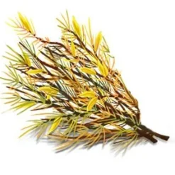 YogiTea Luomu Bedtime Rooibos Vanilja