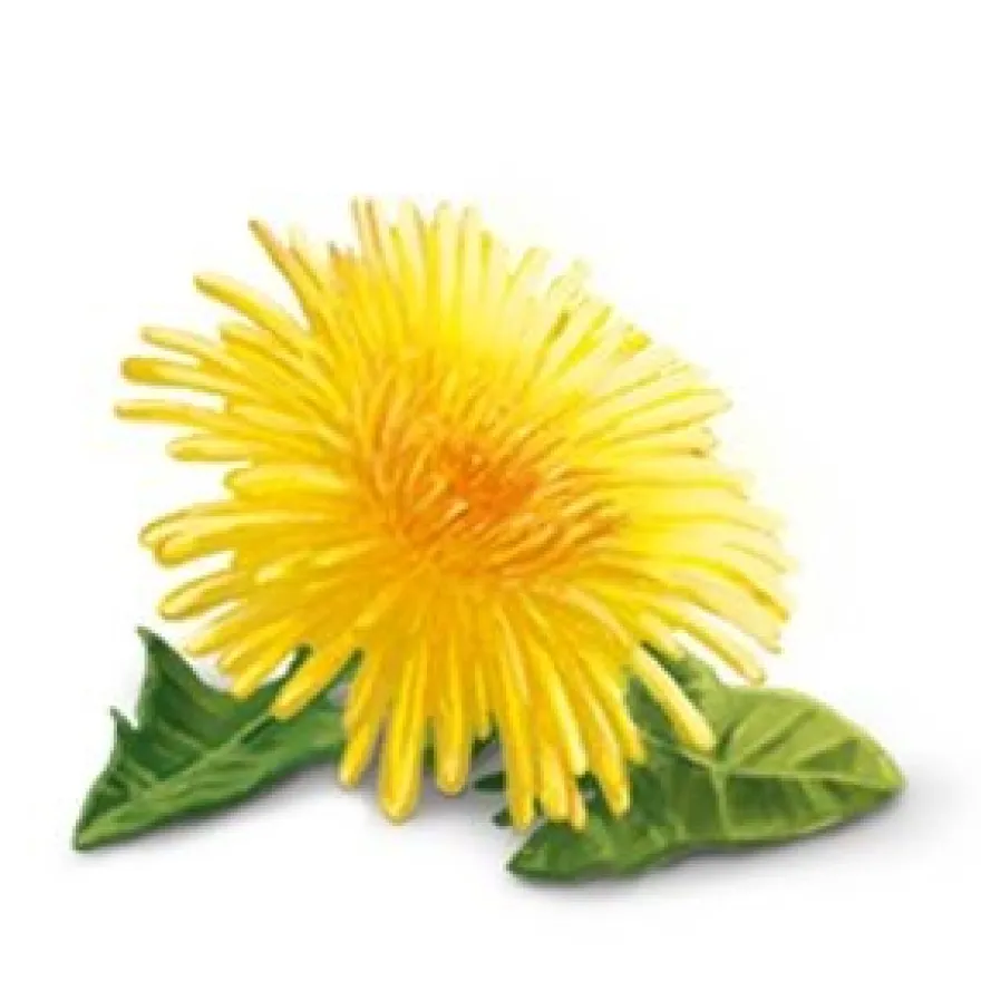 YogiTea Luomu Detox Dandelion tee