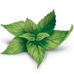 YogiTea Luomu Inkivääri-Sitruunatee