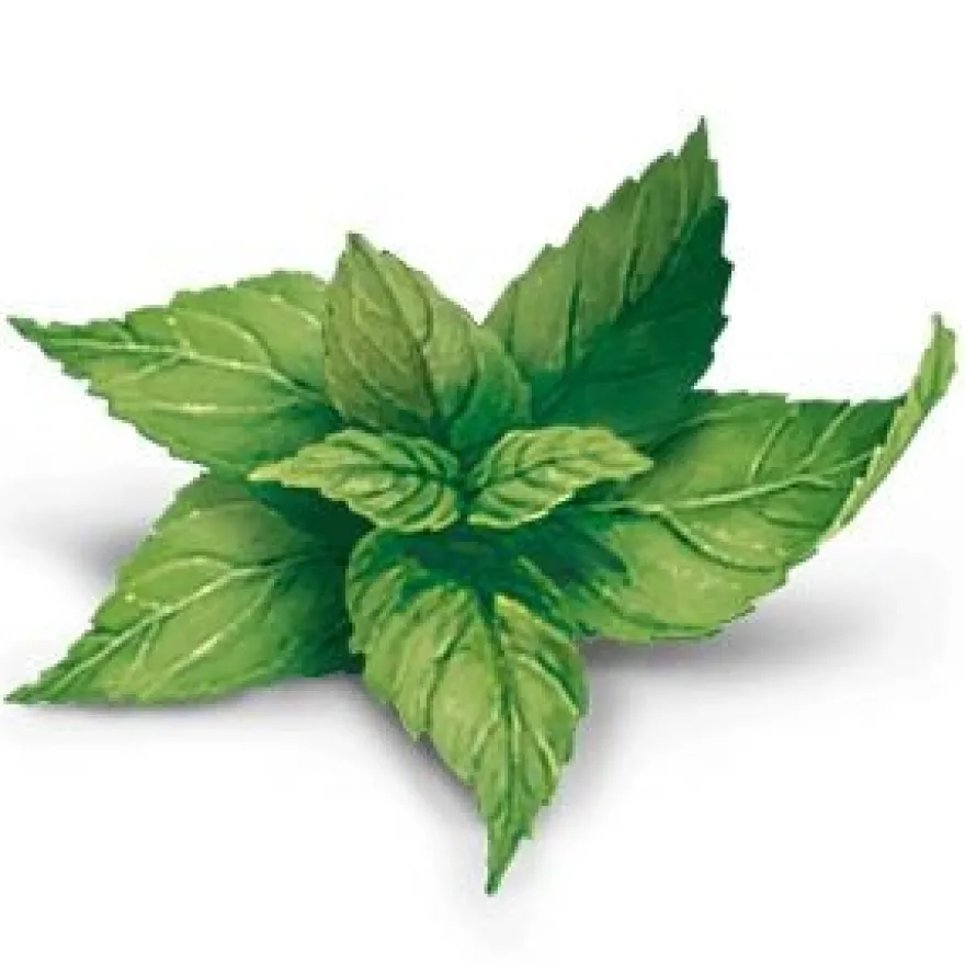 YogiTea Luomu Inkivääri-Sitruunatee